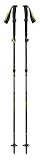Black Diamond Distance Plus FLZ Z-Poles