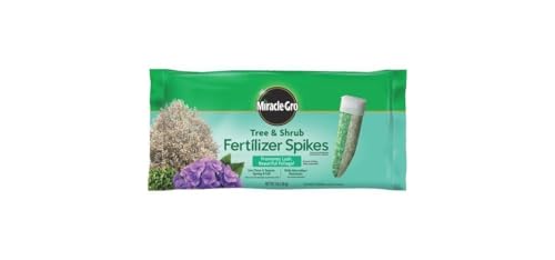 Image of Miracle-Gro Tree and Shrub Plant Food Spikes - Deciduous, Flowering & Evergreen Tree Fertilizer Spikes, Hydrangeas, and Acid-Loving Plants, 12 Count, 3 lb. (Pack of 12)