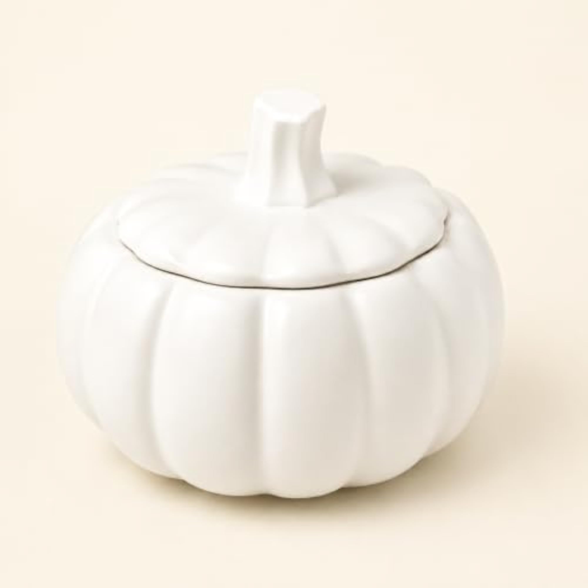 Handmade Concrete Pumpkin Container