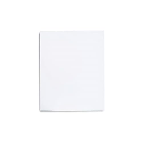 PLUS HOME Paneles Imprimados, 100% Algodón, Lienzos Preestirados para Pintura Acrílica, Con Bastidor de madera, para Artistas Profesionales o Principiantes.(40x50cm)