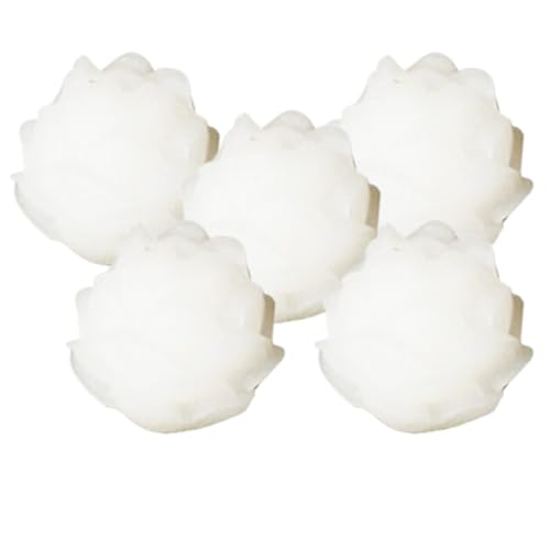 [CONGARTENO] 5 ANZT[ ܘ@ؒr[Y `[ OpnhChp[c