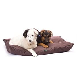 4L Textil ZOE Hundekissen waschbar mit Bezug und Reißverschluss Hundekissen Grosse Hunde Hundematte Liegekissen für Hunde waschbares Hundebett Grosse Hunde (60x50 cm, Dunkelgrün)