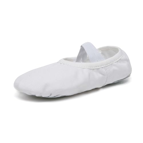 Danzcue Ballet Shoes for Women Soft Canvas/PU Leather Adult Dance Slippers, Ideal Ballet Flats for Women3