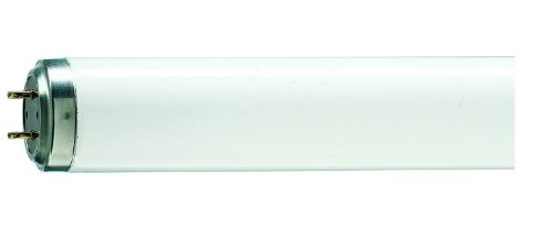 Preisvergleich Produktbild PHILIPS-LICHT Leuchtstofflampe 40W / 33-640 1SL / 30 TL RS