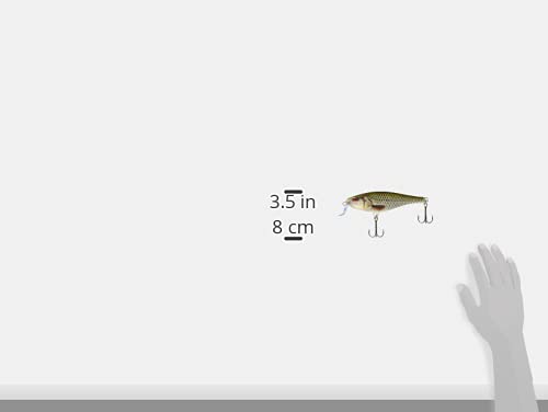 Amazon.co.jp: Rapala(ラパラ) ビッグベイト スーパーシャッドラップ