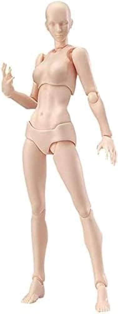 Amazon | モデル人形 デッサン 人形 女 関節人形 素体 可動