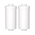 ICEPURE Fluoride Filtration Filters for Gravity Water Filtration System, Replacement for Berkey® PF-2® Fluoride Filters and Other Gravity Water Filter Systems, Reduce Chlorine and Fluoride, 2 PACK