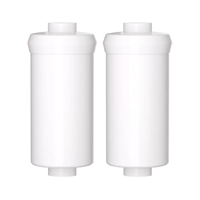 ICEPURE Fluoride Filtration Filters for Gravity Water Filtration System, Replacement for Berkey® PF-2® Fluoride Filters and Other Gravity Water Filter Systems, Reduce Chlorine and Fluoride, 2 PACK