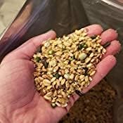 Small Pet Select Sustainable Chicken Scratch, 25lb
