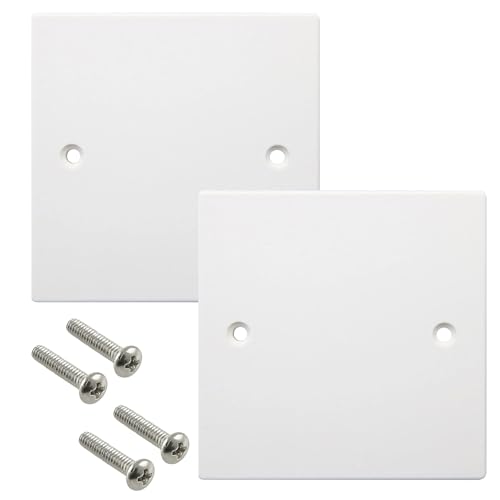 2 Piezas Placa de cubierta ciega, cubiertas eléctricas para enchufes, agujeros de pared, placa ciega para interruptores, acabado blanco, con tornillos (86 mm x 86 mm)