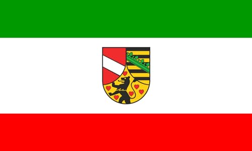 Drapeau Saale-Holzland-Kreis grand format de qualité supérieure