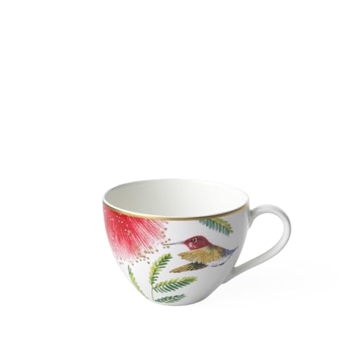 Villeroy & Boch 10-4381-1300 Amazonia Anmut Kaffeetasse, Porzellan Green 27.5x19x5 cm