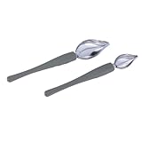 NUOBESTY 2 Stück Edelstahl Saucier Löffel zum Dekorieren und Verzieren von Soßen und Speisen Praktische Küchenhilfe für Feine Linien Tortendekoration Westliche Gerichte und Plattierung