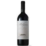 Donna Olimpia 1898 Millepassi 2021 Bolgheri Superiore DOC - Cabernet Sauvignon, Merlot, Petit Verdot, affinamento in barrique, Vino Rosso Complesso, Elegante e Strutturato, 0.75L