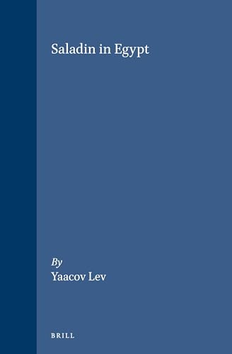 Saladin in Egypt (The Medieval Mediterranean, 21)