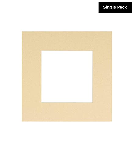 CountryArtHouse Tan Acid Free 14x14 Square Picture Frame Mat with White Core Bevel Cut for 10x10 Pictures - Fits 14x14 Frame - Pack of 1 Matboard Show Kit with Acid Free Backing & Clear Bag