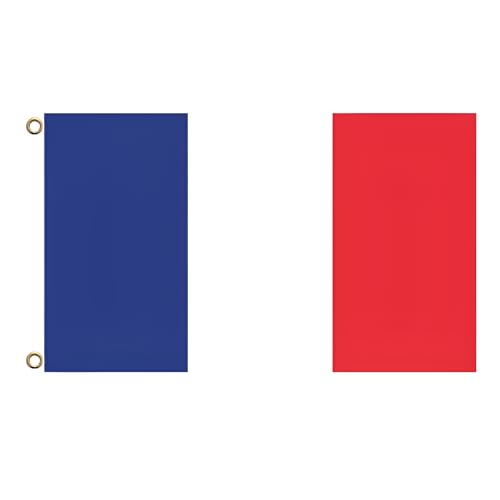 [Firmiarii]ng[hJbvZbg 90×50cm vȃ|GXef wZ/ƍۓW 2026Nĉndl ȒPt\ 90×50cmAtX