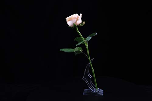 Zjchao Rose Stand, Transparent Flower Vase for 24k Gold Plated Dipped Long Stem Rose Flower Crystal Glass Rose Stand Support Base - Image 3