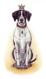  Der kleine Hundekoenig als Tümpelforscher