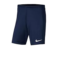 Nike Herren Shorts Dry