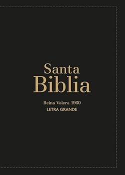 Leather Bound Biblia Rvr60 Letra Grande/Tamaño Compacta - Negro Vinilo (Bible Rvr60 Lp/Compact Size - Black Gloss) [Spanish] Book