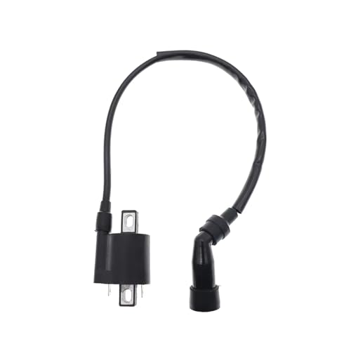 Bobine d'allumage haute tension XVS1100 pour rénovation électricité moto