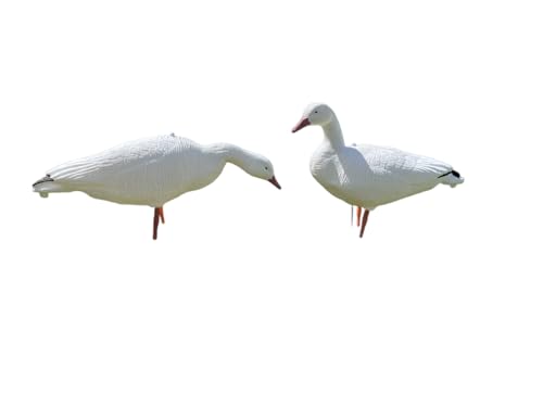SnowDown Decoys Full Body Snow Goose Decoys (12)