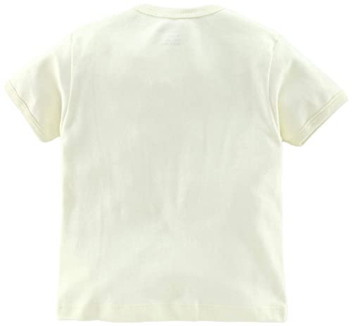 Image of CUCUMBER Baby Half Sleeve Front Open Cotton Top And Bottom Shorts Set
