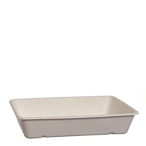 Bio 40 bandejas + tapa para llevar Box 100% compostable, húmedo, contenedor Take Away de 23 x 15,6 x 3,1 cm de altura, patatas fritas, sopas, pasta – 900 ml