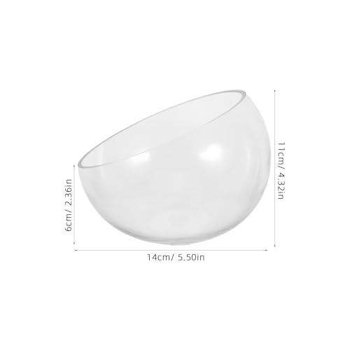 Maceta de vidrio semicircular de cuidado facil para plantas hidroponicas 3
