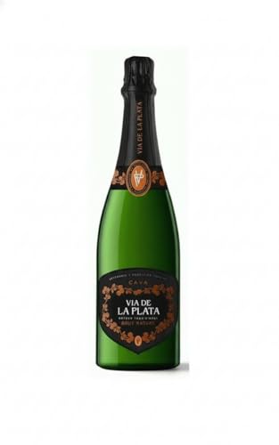 Vía de la Plata Cava Brut Nature 75 cl – Espumoso Español Seco | Macabeo y Parellada | Burbujeo Fino, Elegante y Perfecto para Celebraciones y Maridajes