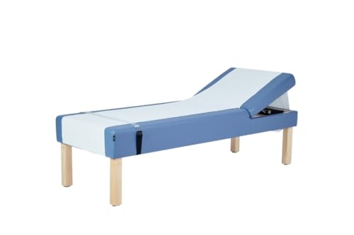 Vivacomfort Lucas Medical Recovery Couch with Adjustable Back