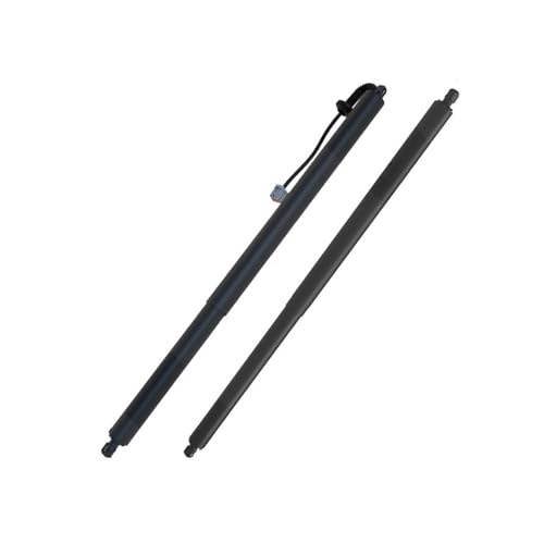 Support de levage de trappe électrique de hayon fluide pour Ford Escape 2013-2019 paire arrière