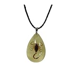 Caiyao Real Bug Necklace Real Insect Beetle Spider Scorpion Ant Taxidermy Animals Insect Collect Pendant Necklace Jewelry-Scorpion