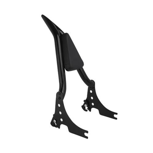 Dossier de passager moto amovible pour escapades en Sportster XL 1200 883