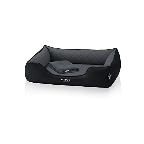 BedDog Premium Cama ortopédica para Perro Buffy, Espuma con Memoria, sofá para Perro, Felpa Regalo - The-Rock (Negro/Gris) Cover