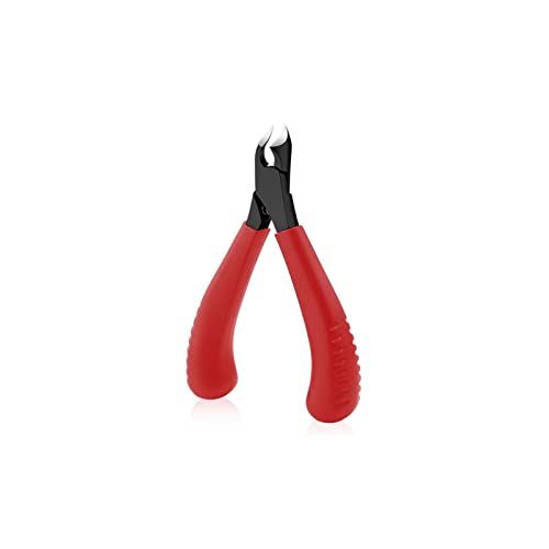 DDGURDH ܐ؂ ܐ w؂ w̒ jbp[ 񂾔畆g}[ XeXX`[ INm lCJb^[ ͂ }jLAPAc[