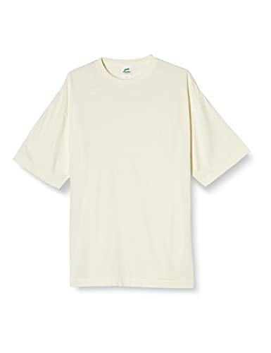 Tシャツ 5.6オンストライブレンドBSTシャツ ヴィンテージオフホワイト L