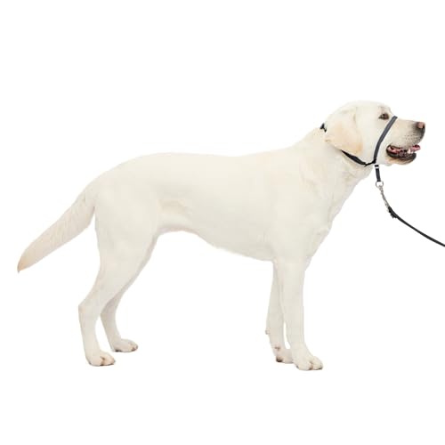 PetSafe Gentle Leader Headcollar No-Pull Dog Collar - Helps Improve Walks - Durable Nylon Construction - Padded Nose Loop - Adjustable Fit - Comfort Walking Halter - Large, Charcoal