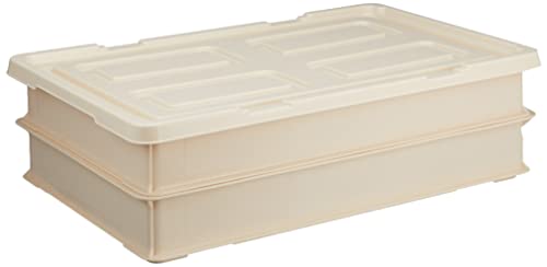 Shinki Gosei Dragonfly Commercial Food Container, Food Tray, Mochi Box, 4.5 gal (12.6 L), Main Body, 2 Pieces, Lid, 1 Set, Ivory, Width 22.6 x Depth 13.8 x Height 3.1 inches (57.5 x 35 x 8 cm), Made