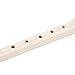 8 Hole Soprano Recorder Detachable Design, Exquisite Craftsmanship, Comfortable Playability for Beginners, ABS Material Green (White)