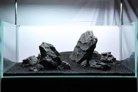 AquaRocks Premium Natural Black Aquascaping Rock/Stone for Aquarium & Fish Tank Decoration, Amphibian Enclosures, Landscaping Decoration, etc. (Pack of 3.6kg) 3