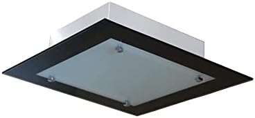 Lustre Plafon Para Sala Cozinha Banheiro Quarto 30 cm x 30 cm (Bo...