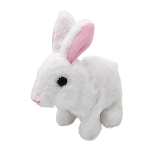 ʂ | l`ʂ |ׂʂ |C^NeBuȓ̂ʂ |̏oʂ | ̏oʂ݂ʂ݌̂ቹtʂݕtYl`j̎q̎qp