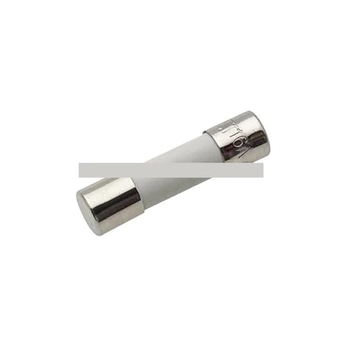 Fusibles 5x20mm T16A céramique action lente pour tableau et tableau électrique
