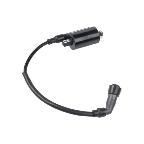 Bobine d'allumage quad 12V et dispositif d'allumage moteur pour scooter ATV 125cc