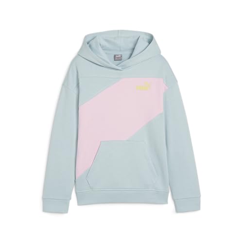 PUMA Sudadera con Capucha Unisex Power Colorblock TR G Sudor