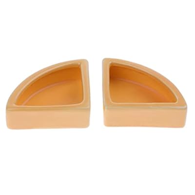 pistro 2-Pack Reptile Ceramic Food Bowls – Anti-Escape Feeding Dish for Lizard, Gecko, Tortoise, Snake, Chameleon, Iguana, Orange, Angle M