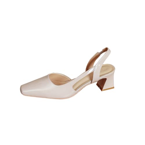 [D.IIZOO] pvX fB[X obNXgbv T_ 5cmq[ XNGAq[  ʋ  JWA d (AvRbg, {̌C̃TCY@, l, l, 23.0 cm)