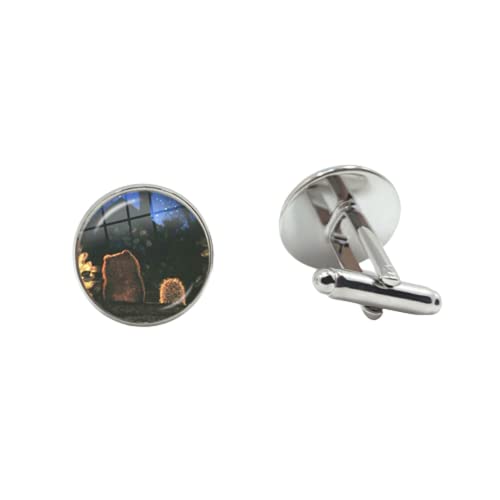 Erizo en la niebla Gemelos hombres mujeres Cabujón de vidrio hermosa dibujos animados Anima foto hecha a mano Gemelos Accesorios, 25mm, bronce, cristal, vidrio, metal, níquel, plata, estabilizado